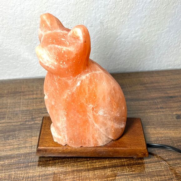 Vintage Pink Himalayan Salt Lamp Cat Shaped Carved Orange Rock Crystal Wood Base - Picture 5 of 13